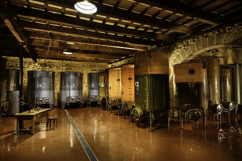 Vinification domaine Roquemale, vin Bio à Villeveyrac